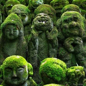 Meet your Posher, Kristina